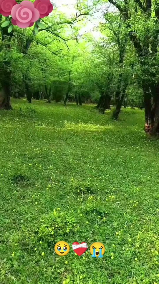 TikTok video thumbnail by zabaguli13