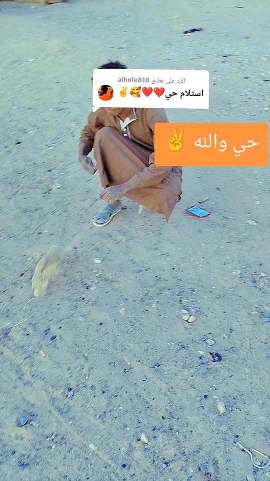 TikTok video thumbnail by user4992065613799