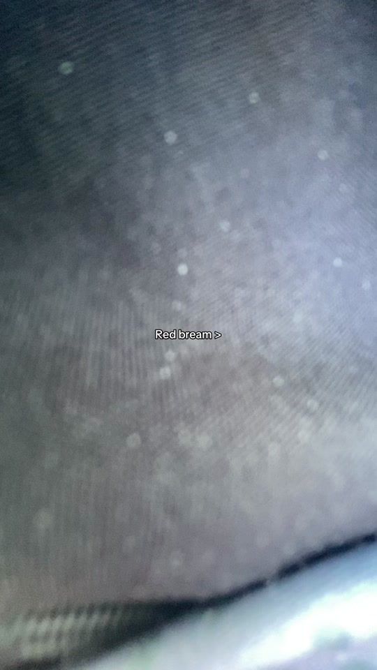 TikTok video thumbnail by jhooks0