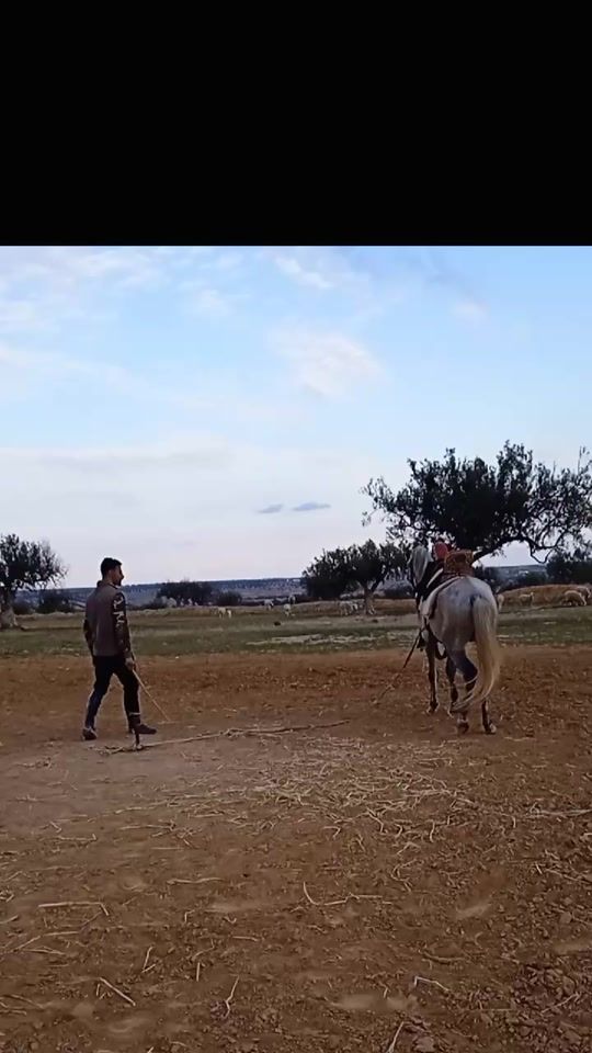 TikTok video thumbnail by mourad.nafti6
