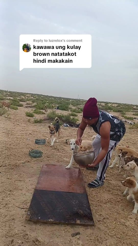 TikTok video thumbnail by tabiraodencio