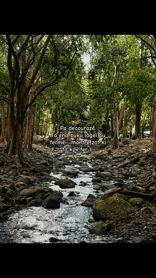 TikTok video thumbnail by ._adissen