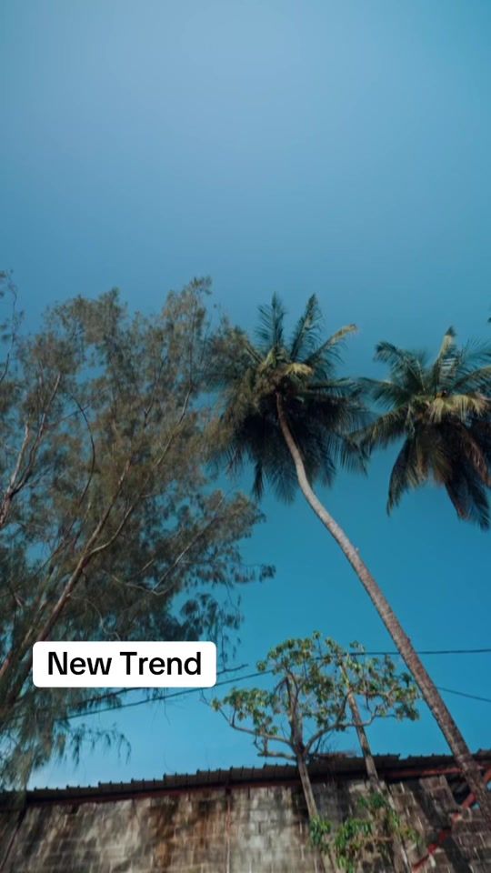 TikTok video thumbnail by smilemvn696