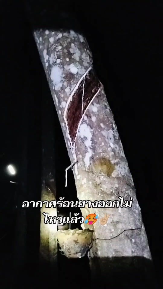 TikTok video thumbnail by kay.thi096