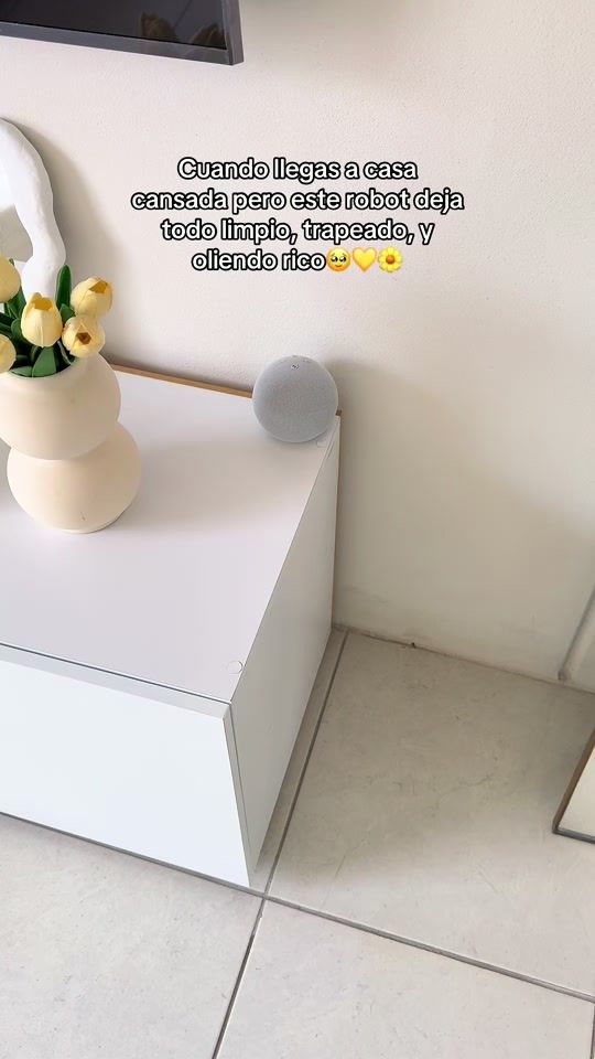 TikTok video thumbnail by eli_findssss