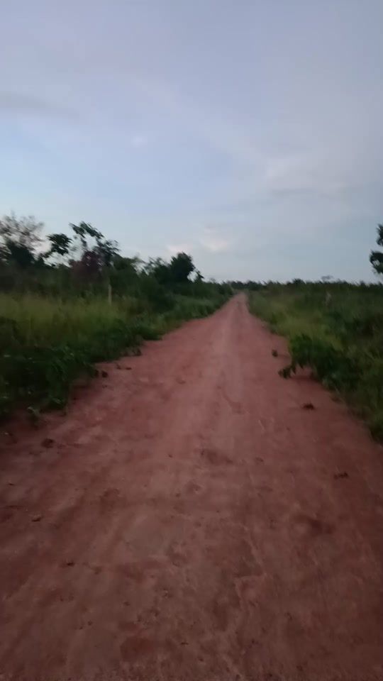 TikTok video thumbnail by flor.cayran