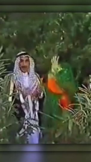 TikTok video thumbnail by saud1985__