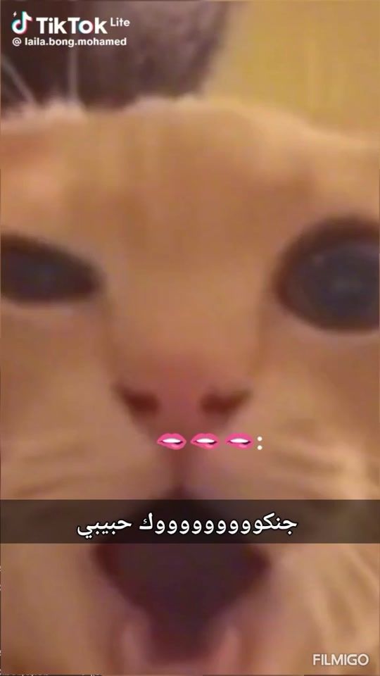 TikTok video thumbnail by moulan.kou