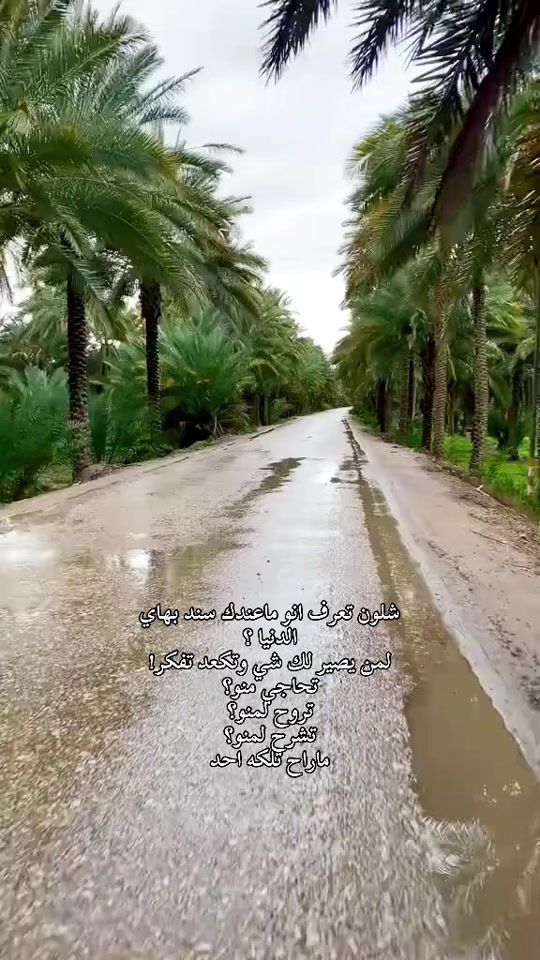 TikTok video thumbnail by mariamal401