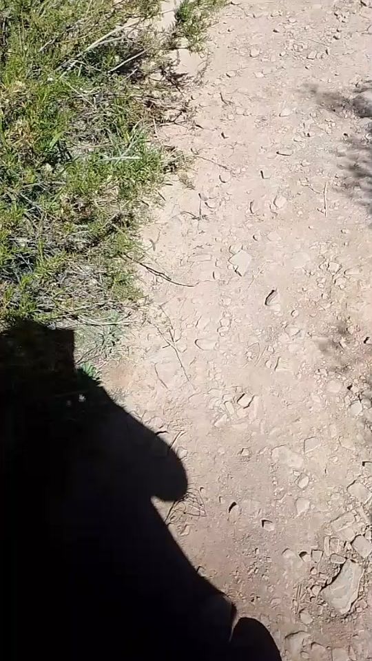 TikTok video thumbnail by nelichoque