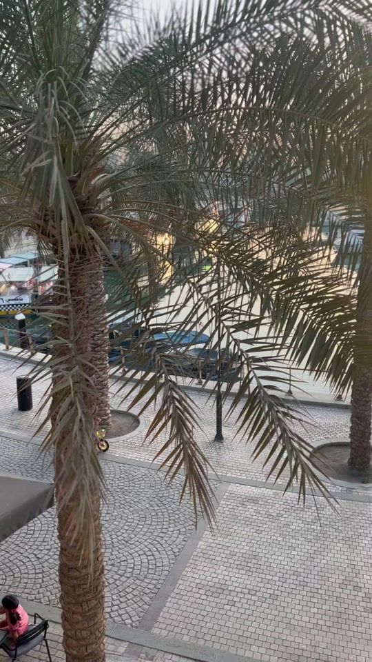 TikTok video thumbnail by bouba_k