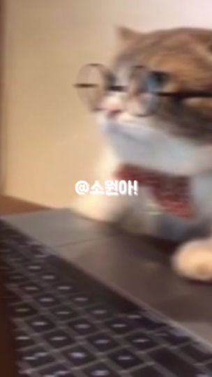 TikTok video thumbnail by .hayool76.lili