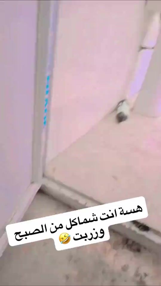 TikTok video thumbnail by abdli1996