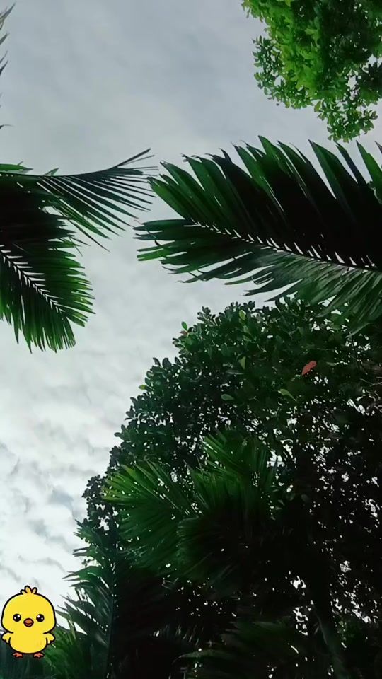 TikTok video thumbnail by user676956