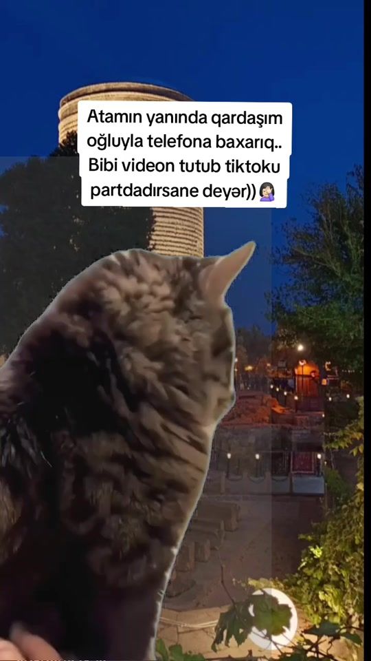 TikTok video thumbnail by qelbsiz_01