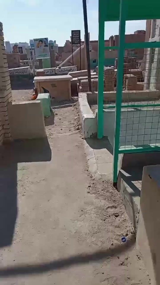 TikTok video thumbnail by 00msmsss