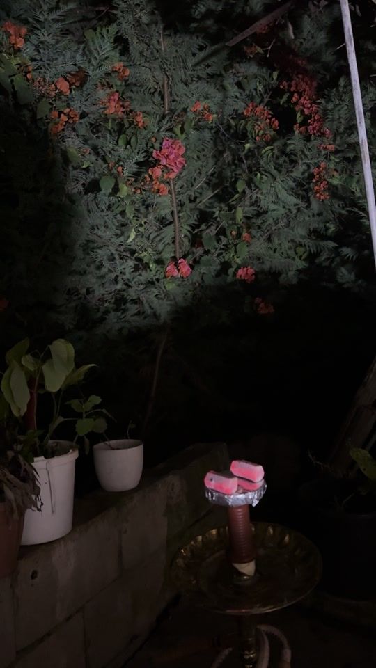 TikTok video thumbnail by y286570