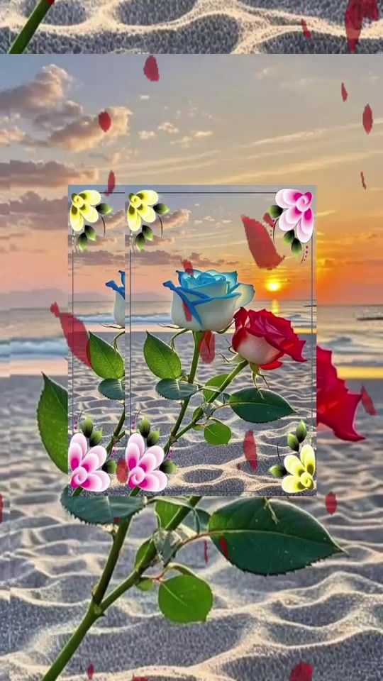 TikTok video thumbnail by rosa446302