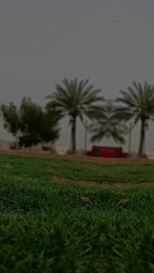 TikTok video thumbnail by anashed.no.music