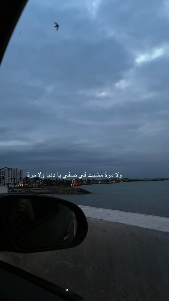 TikTok video thumbnail by flow___ers2