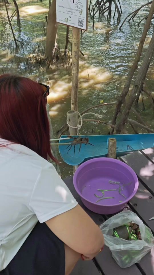 TikTok video thumbnail by rungaommmm