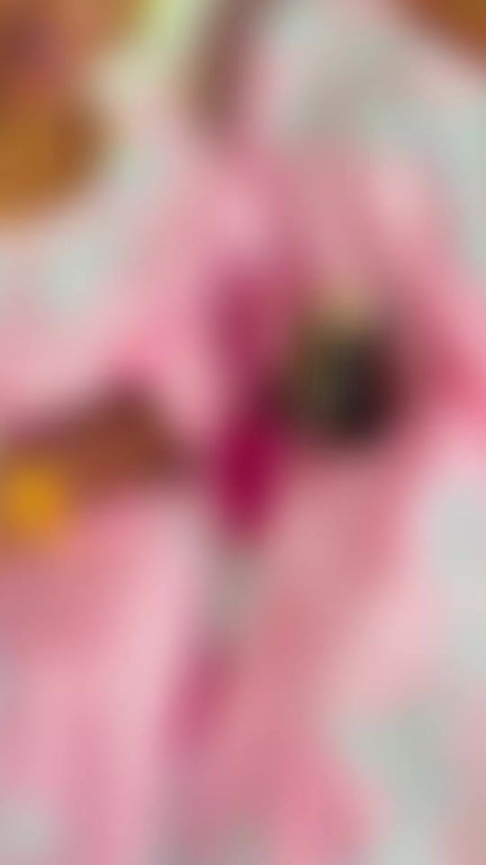 TikTok video thumbnail by star09951