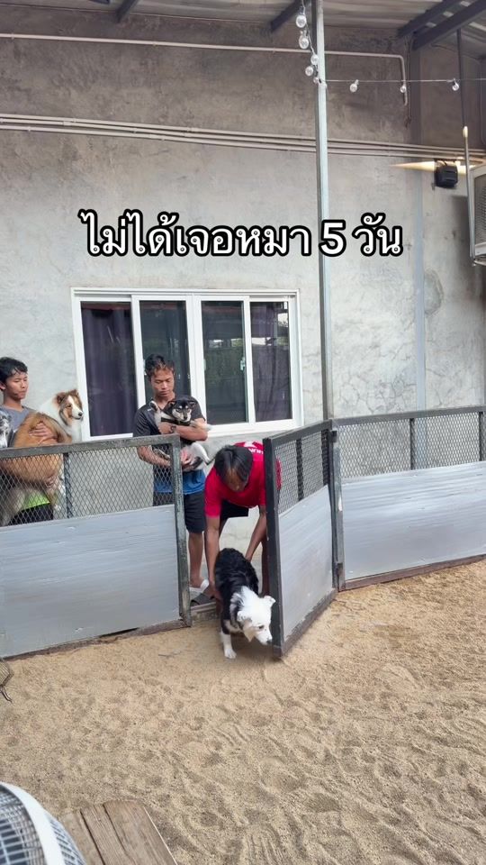 TikTok video thumbnail by khunchom_chavee