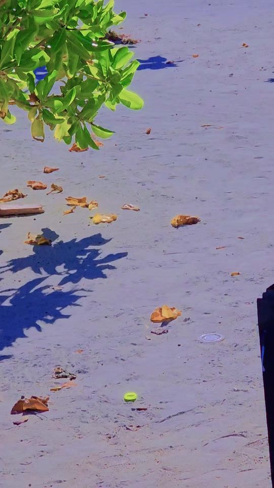 TikTok video thumbnail by garethxaittey