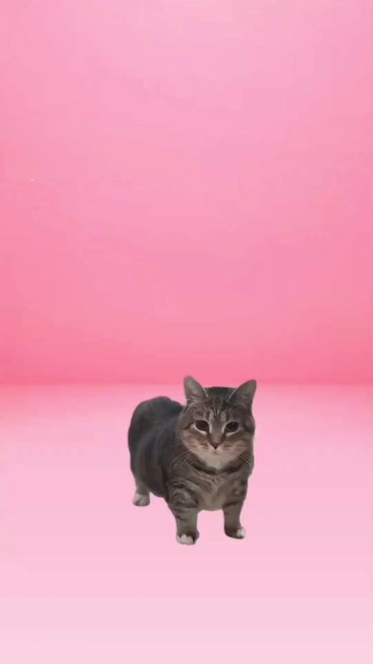 TikTok video thumbnail by katt5882
