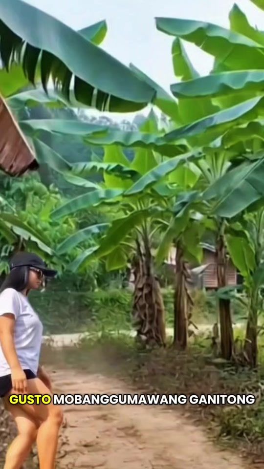 TikTok video thumbnail by hbwcf