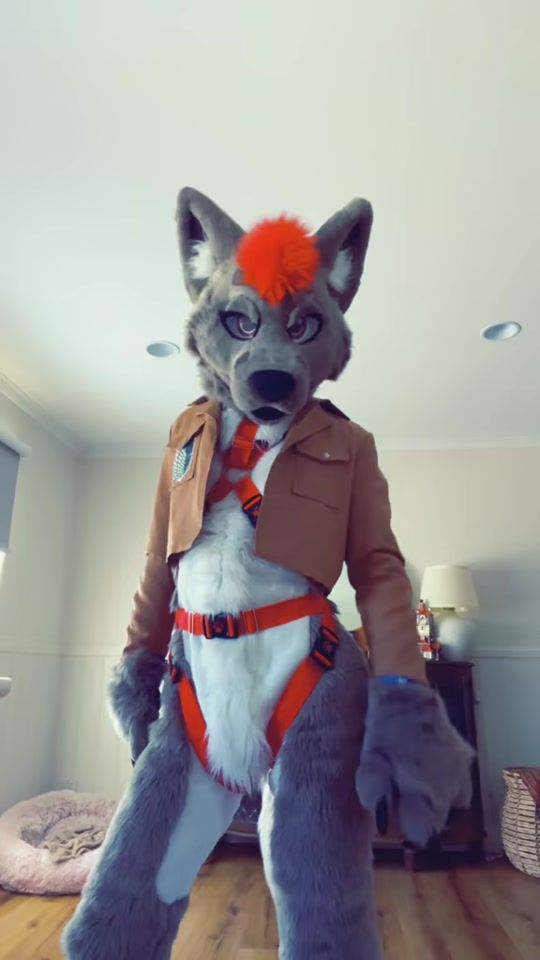 TikTok video thumbnail by deluxecanine