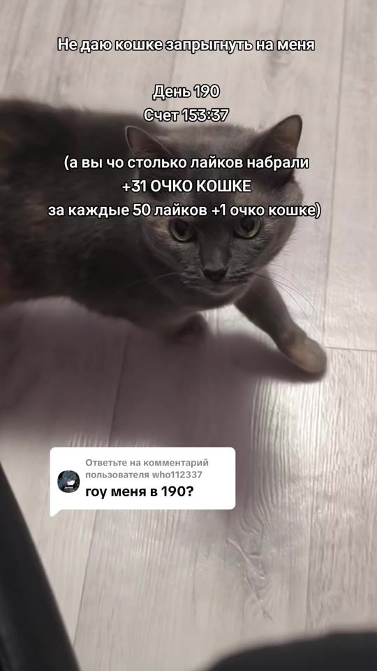 TikTok video thumbnail by serezha.ak