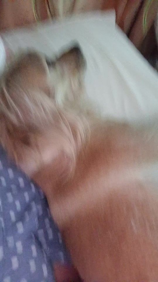 TikTok video thumbnail by verorueda1982