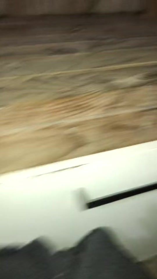 TikTok video thumbnail by t.i.a00