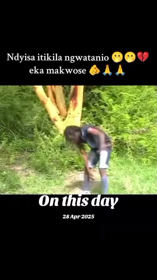TikTok video thumbnail by penton_10