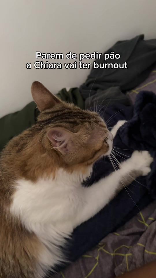 TikTok video thumbnail by minhochaves
