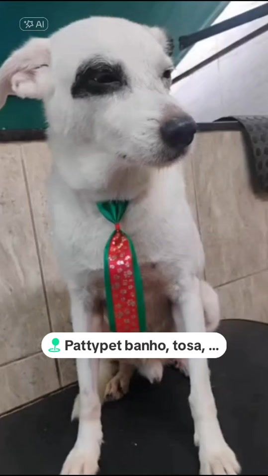 TikTok video thumbnail by kadu0575