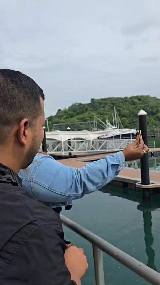 TikTok video thumbnail by ro_ro.tea