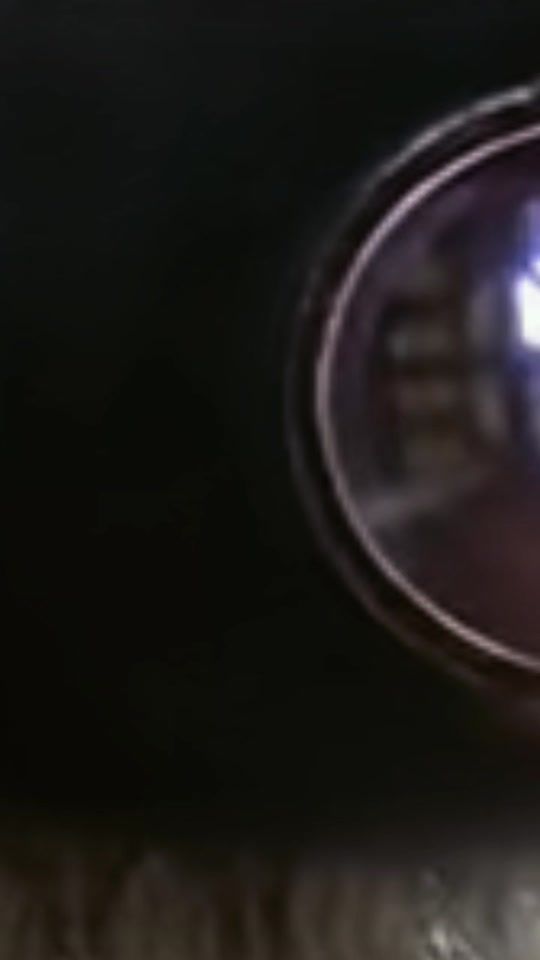 TikTok video thumbnail by comercial417