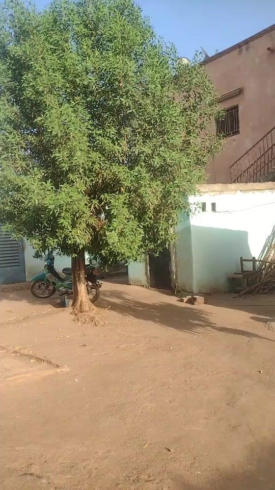 TikTok video thumbnail by one.tafu