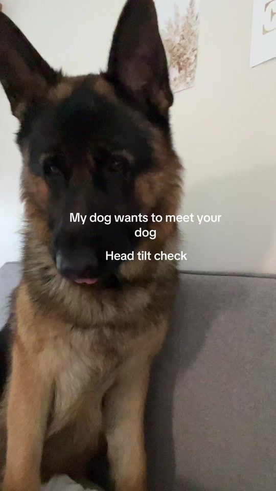 TikTok video thumbnail by brookespacie