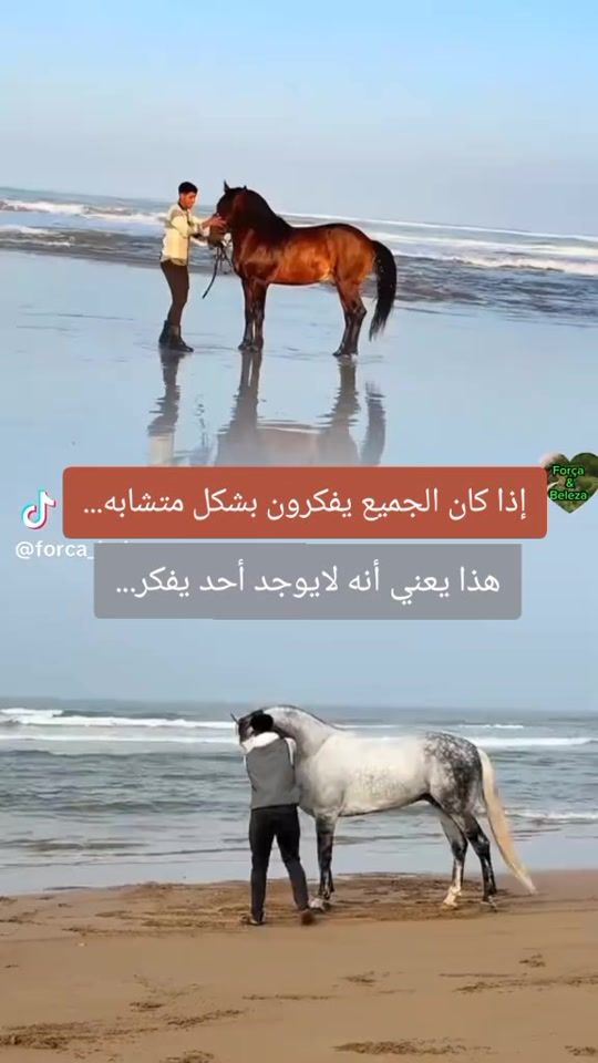 TikTok video thumbnail by shipping_maroc