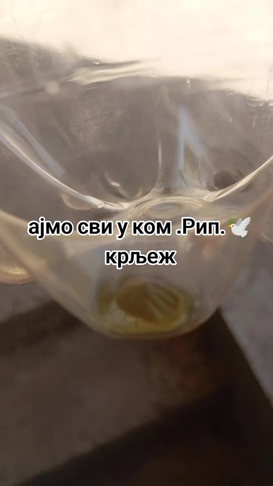 TikTok video thumbnail by matejaslavkovic247