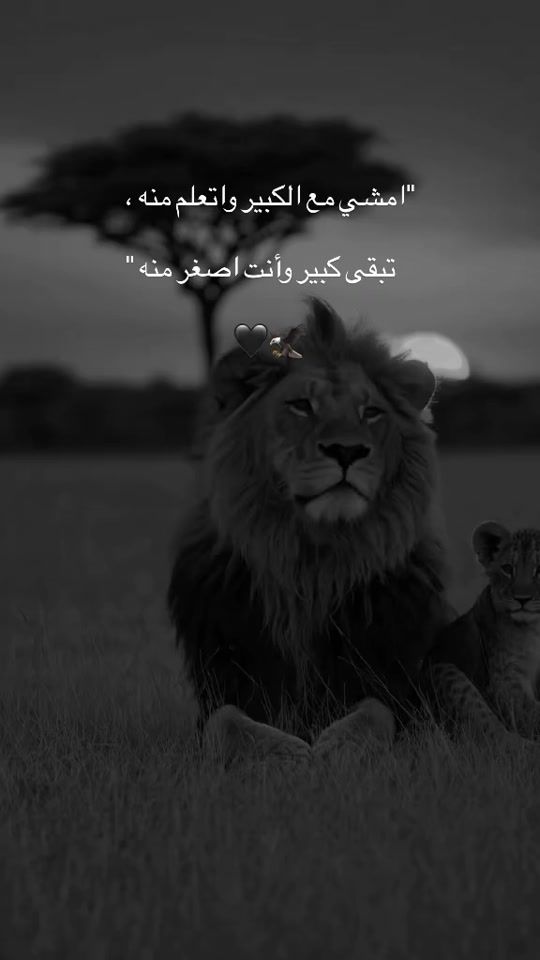 TikTok video thumbnail by ali__hayek_
