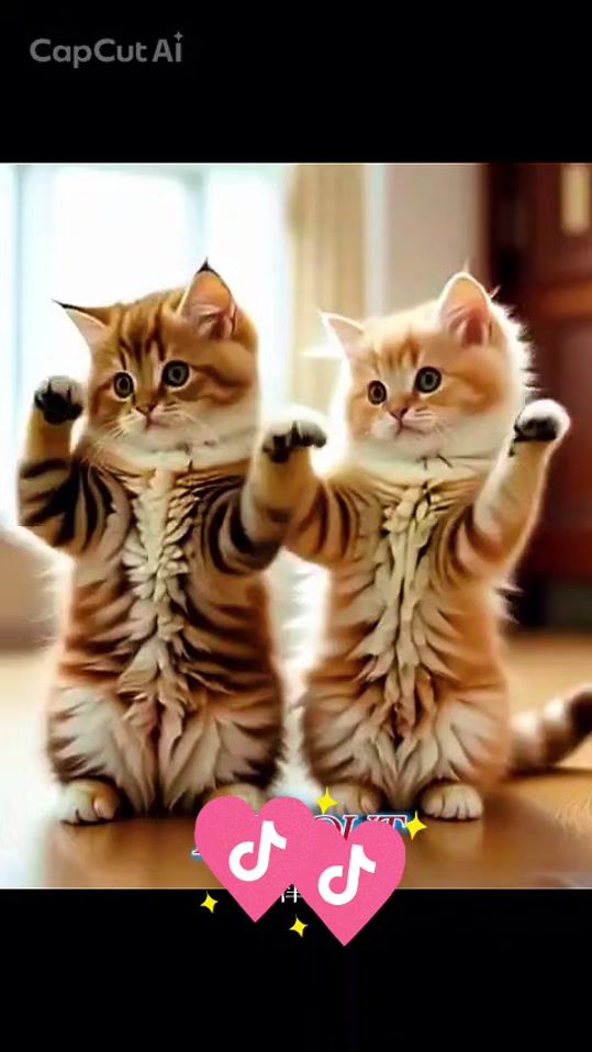 TikTok video thumbnail by userznfe73vfxi
