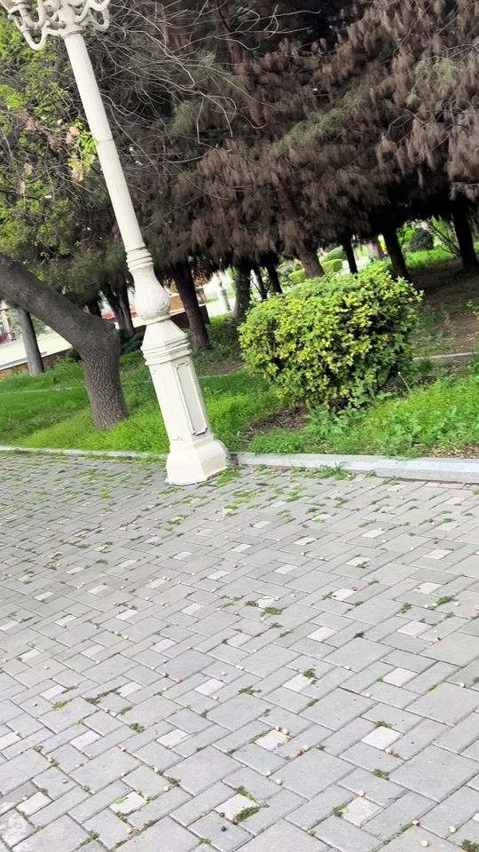 TikTok video thumbnail by revan.nofeloglu.official