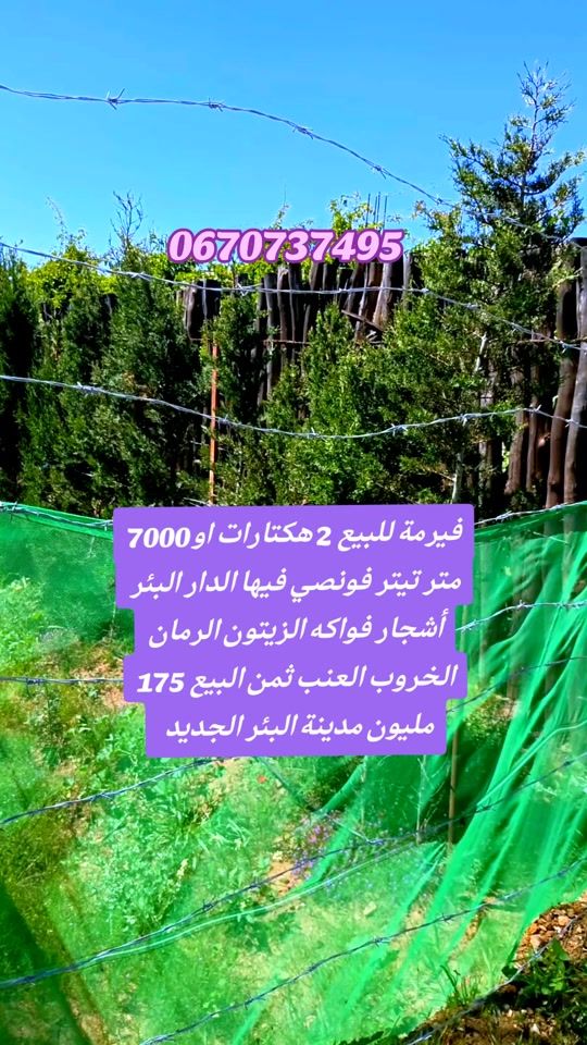 TikTok video thumbnail by hicham3_moussa