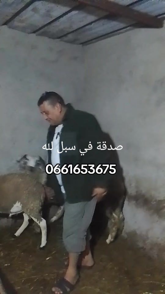 TikTok video thumbnail by moulay_ibrahim4