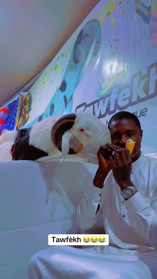 TikTok video thumbnail by biranenarr