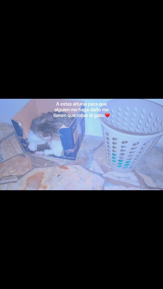 TikTok video thumbnail by drex.sh